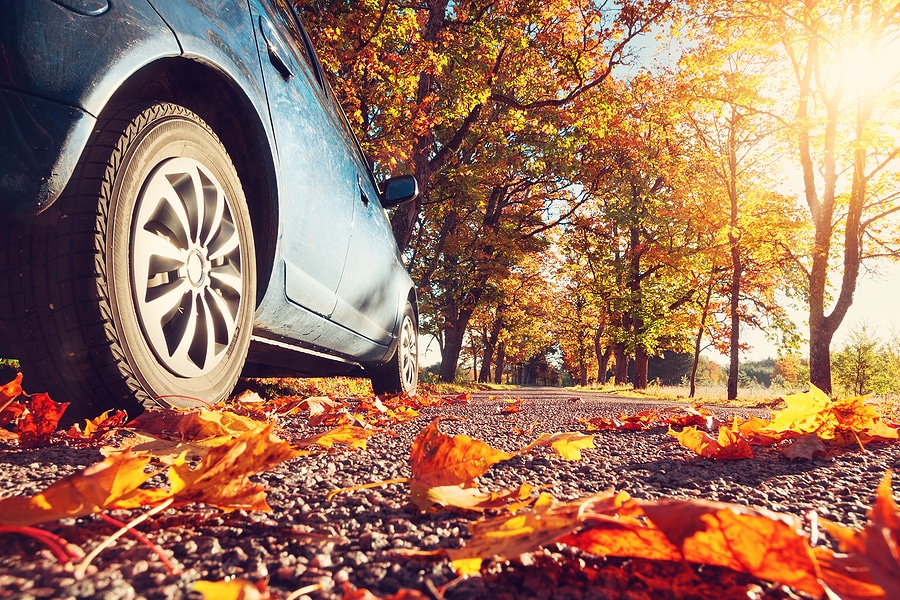 Fall Hazards: How Paintless Dent Repair Can Save Your Vehicle